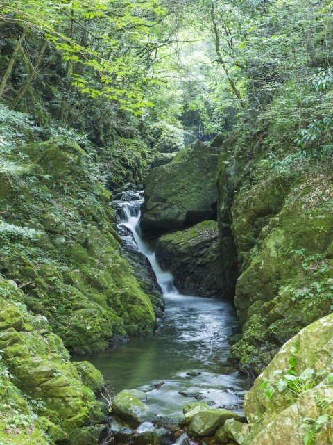 長門峡の画像 1枚目