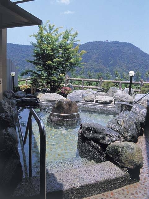 錦帯橋温泉 岩国国際観光ホテルの画像 1枚目