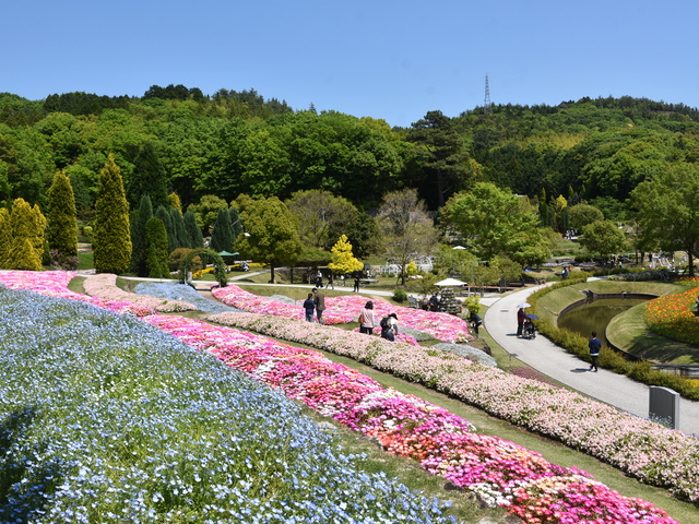 やまぐちフラワーランドの画像 4枚目