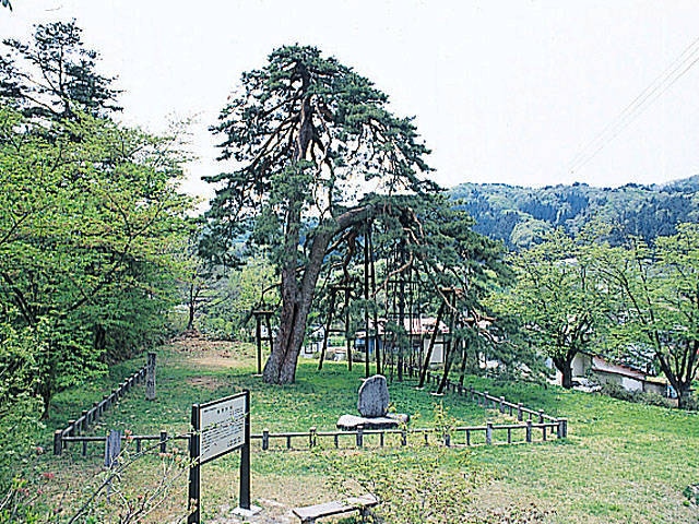 双松公園