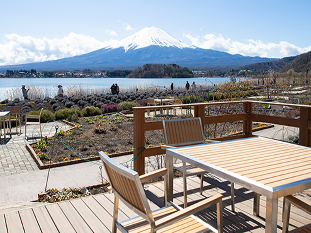 河口湖自然生活館の画像 1枚目