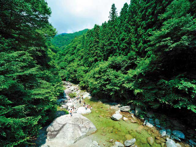 白州・尾白の森名水公園べるが