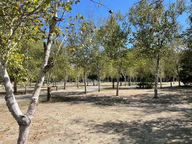 大武川河川公園 フレンドパークむかわの画像 2枚目