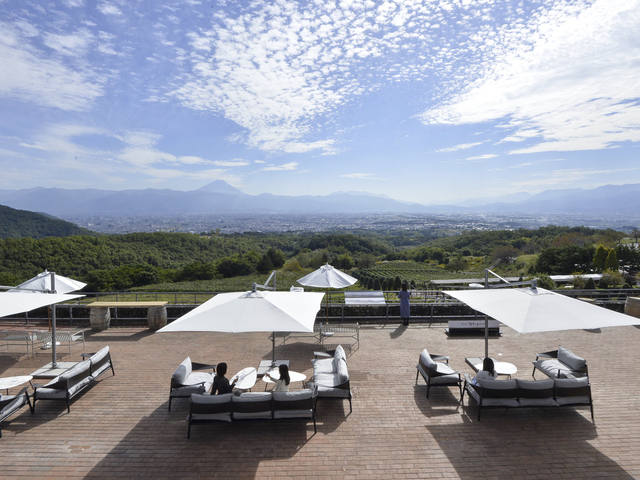 サントリー登美の丘ワイナリーの画像 4枚目