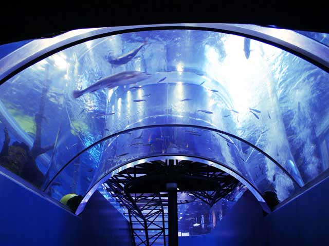 森の中の水族館。山梨県立富士湧水の里水族館