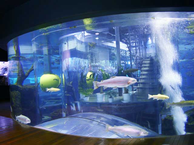 森の中の水族館。山梨県立富士湧水の里水族館の画像 2枚目