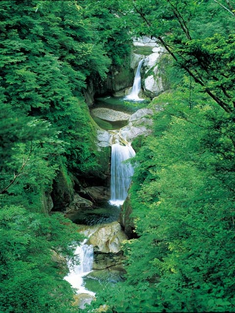 尾白川渓谷