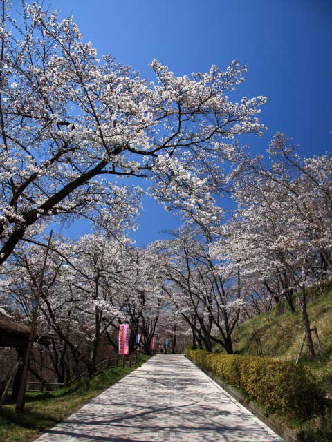 大法師公園