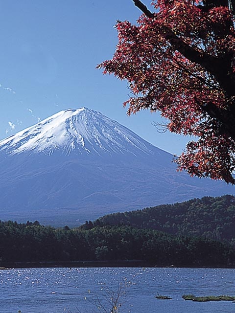 富士河口湖紅葉まつりの画像 2枚目