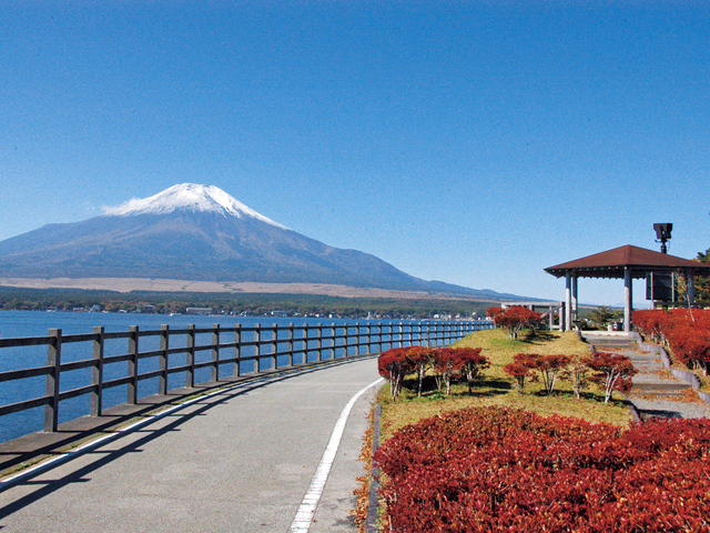 長池親水公園の画像 3枚目