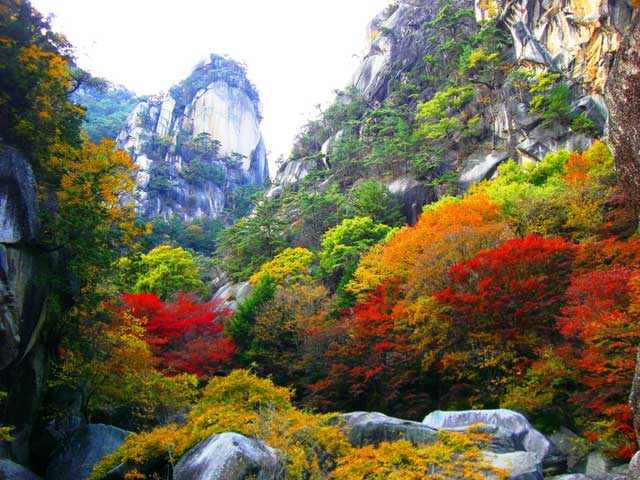 御岳昇仙峡の紅葉の画像 1枚目
