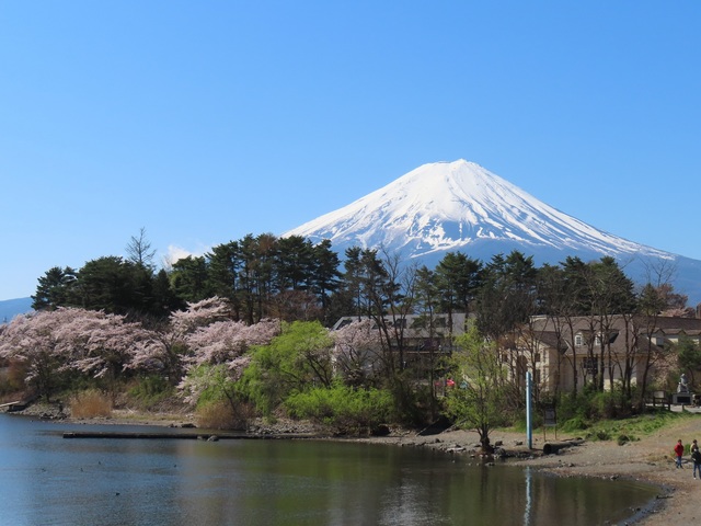 富士箱根伊豆国立公園(山梨県)の画像 1枚目