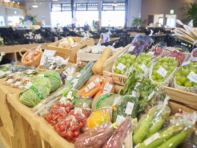 fumotto 南アルプスの画像 1枚目