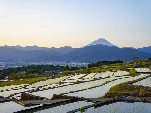 中野の棚田の画像 1枚目