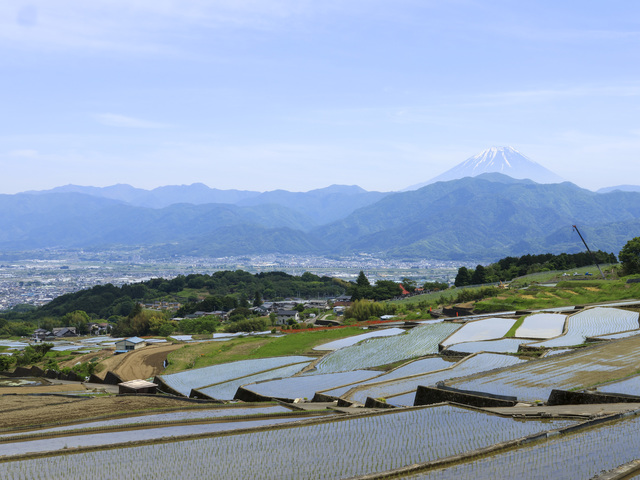 中野の棚田の画像 2枚目