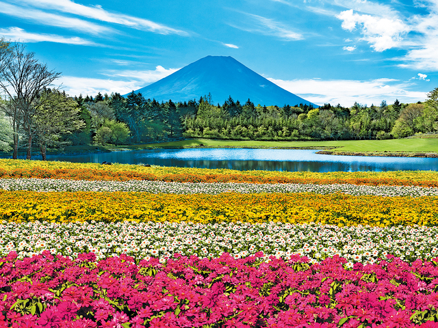 虹の花まつりの画像 1枚目