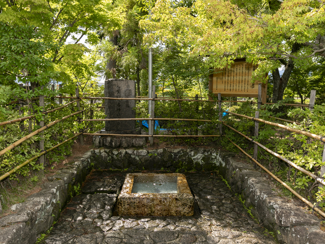 加賀野八幡神社の画像 1枚目
