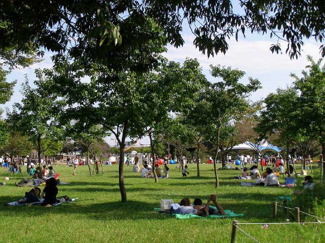 国営木曽三川公園 木曽三川公園センターの画像 2枚目