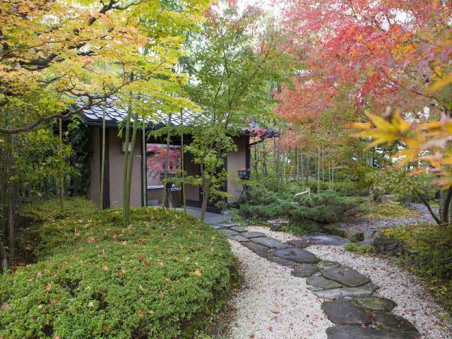 こころをなでる静寂みやこの画像 1枚目