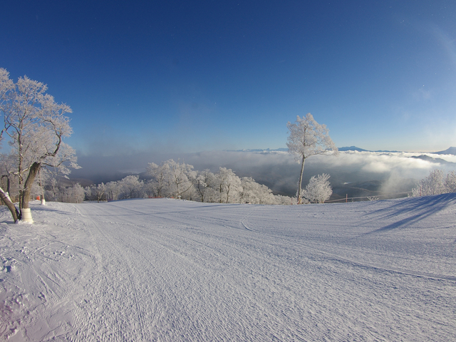 めいほうスキー場の画像 1枚目