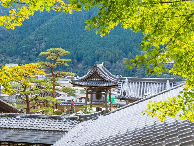 温泉寺の画像 4枚目