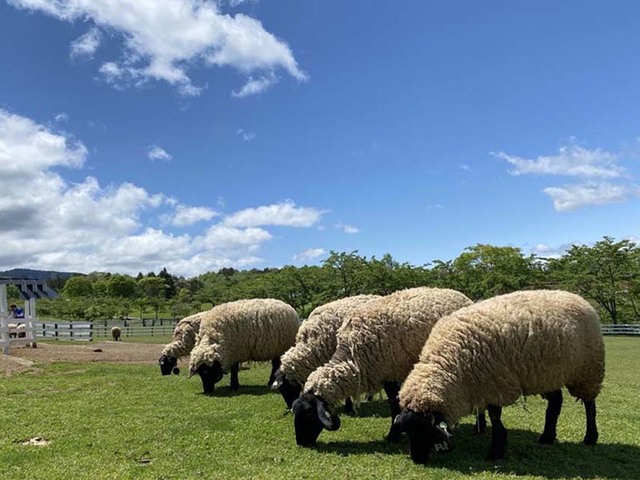 ひるがの高原 牧歌の里の画像 4枚目