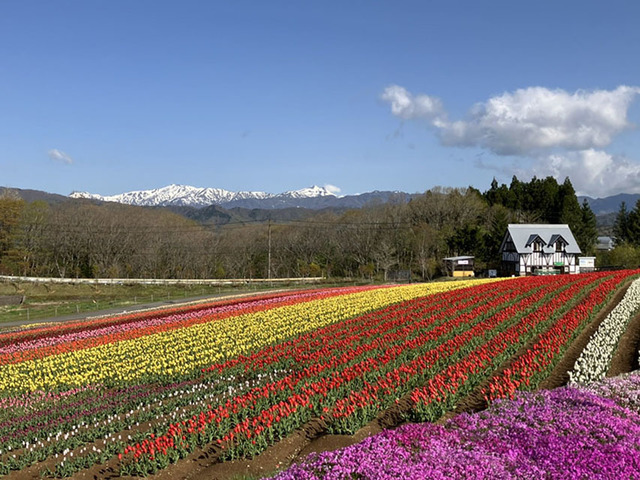 ひるがの高原 牧歌の里の画像 4枚目