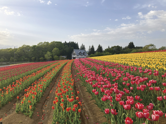 ひるがの高原 牧歌の里の画像 2枚目
