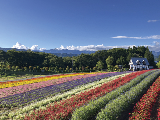 ひるがの高原 牧歌の里の画像 1枚目