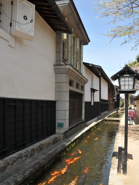 瀬戸川と白壁土蔵街の画像 3枚目