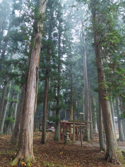 気多若宮神社の画像 3枚目