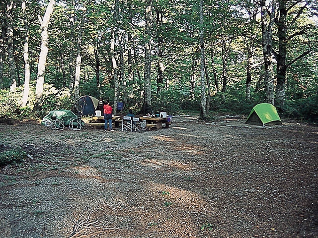 白山ブナの森キャンプ場