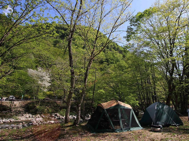 老谷の森 川のほとりのキャンプ場