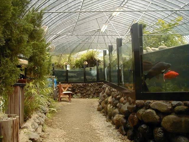 匠の館の画像 3枚目