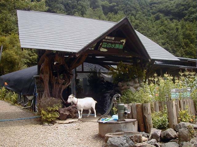 匠の館の画像 4枚目