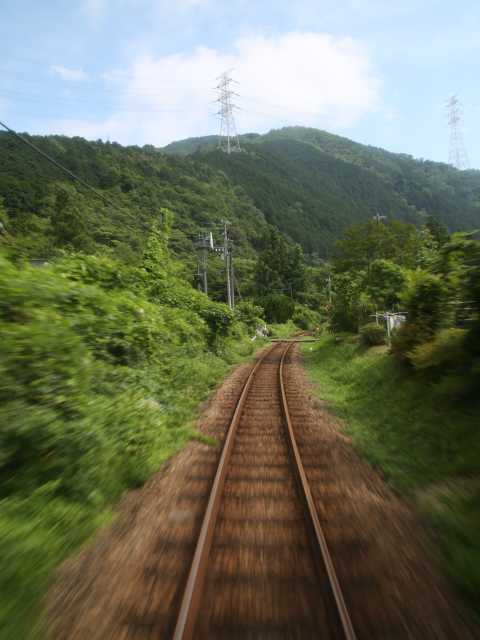 長良川鉄道 観光列車「ながら」の画像 2枚目