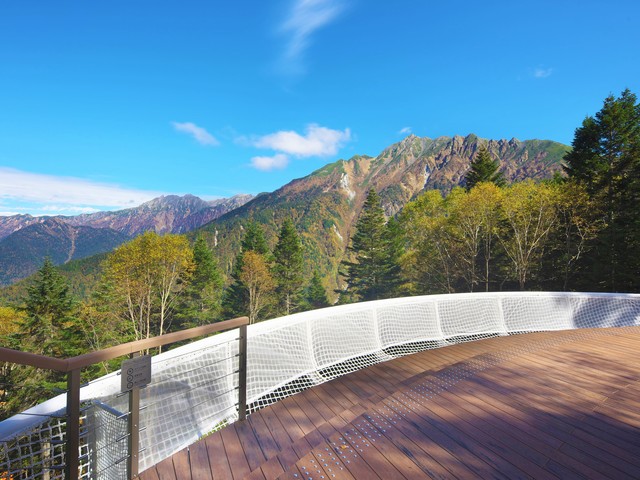 新穂高ロープウェイ 頂の森の画像 1枚目