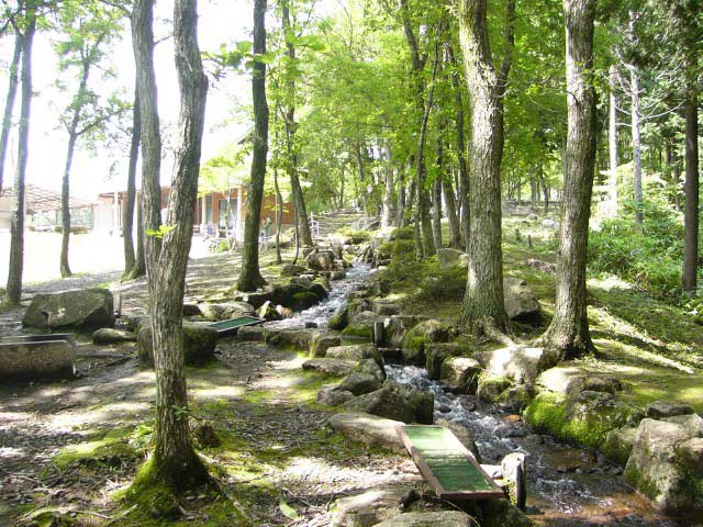 のとろ原キャンプ場の画像 3枚目