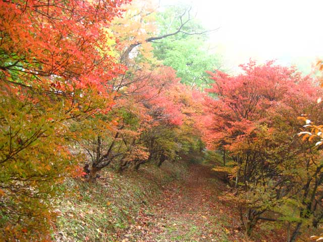 岡山市半田山植物園