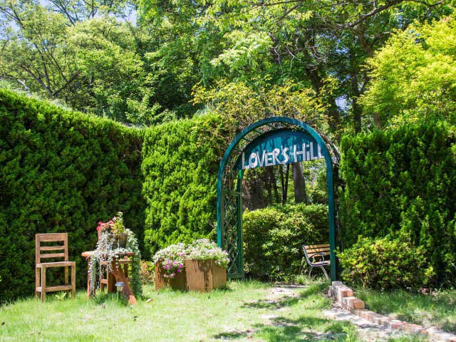 岡山国際ホテルの画像 4枚目