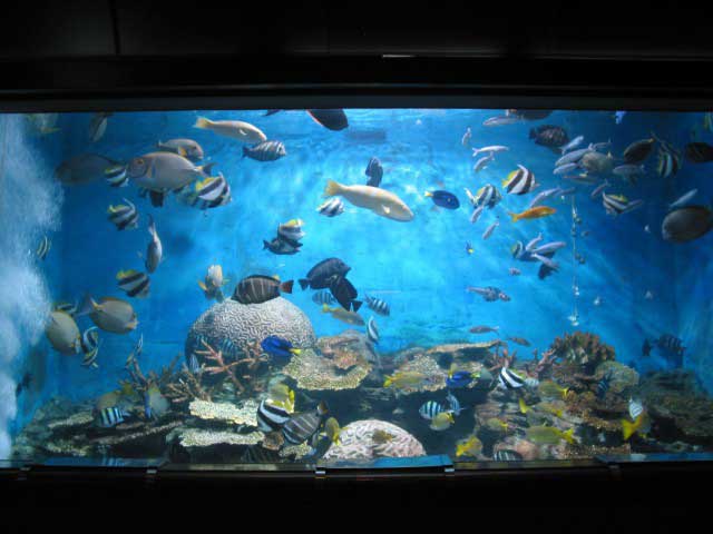 市立玉野海洋博物館(渋川マリン水族館)の画像 2枚目