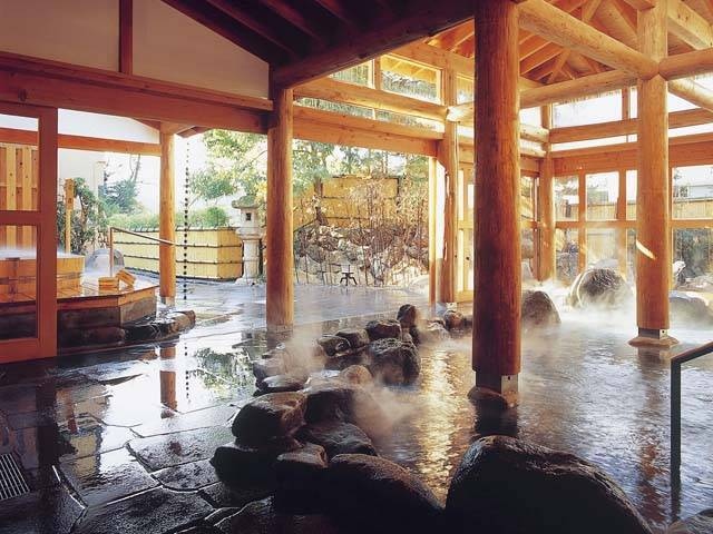 湯めぐりの宿 松の家花泉(日帰り入浴)