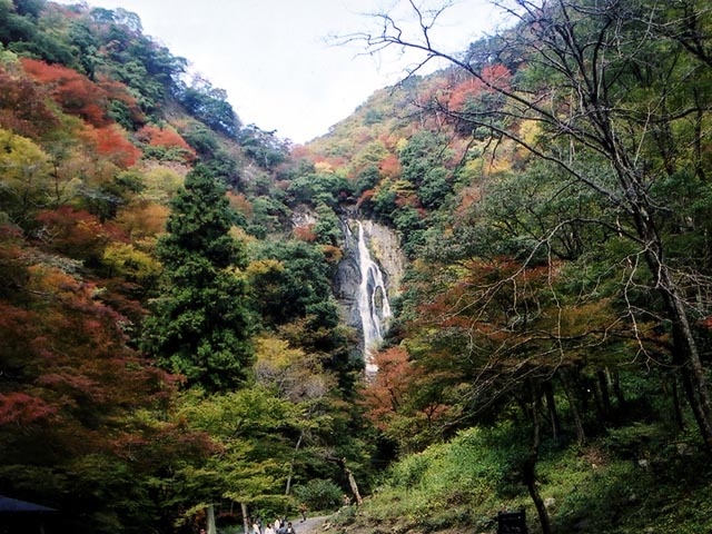 神庭の滝自然公園の画像 1枚目