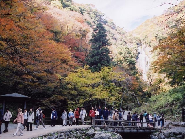 神庭の滝自然公園の画像 3枚目