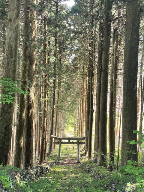 荒戸神社の画像 1枚目