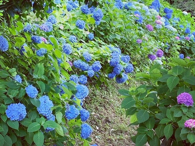 普門寺の画像 1枚目