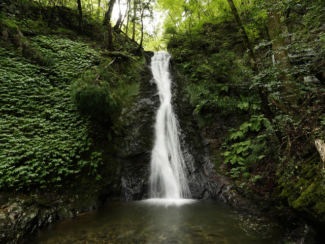 横野滝の画像 1枚目
