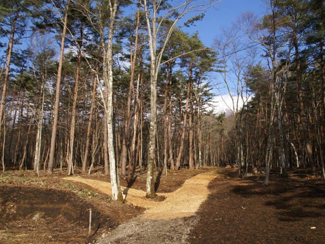 相の沢キャンプ場