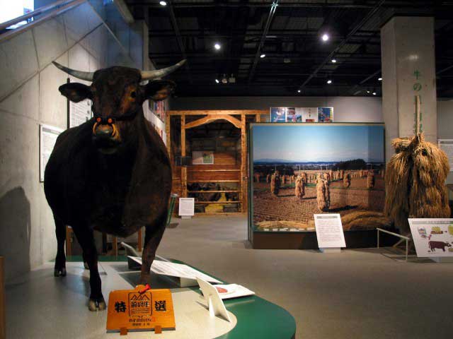牛の博物館