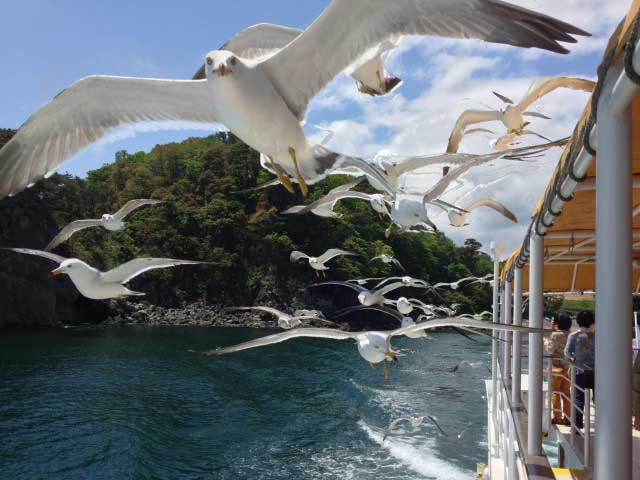 みやこ浄土ヶ浜遊覧船